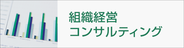 組織経営コンサルティング